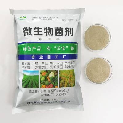 米曲霉菌粉在饲料蛋白分解及生物发酵中的应用研究