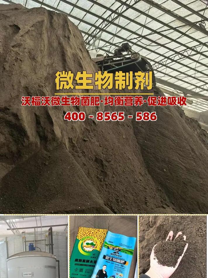 南阳提质增产微生物菌肥制造厂